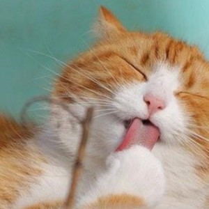 体操冠军吴柳芳恋爱期间出轨事件引热议，前男友实名曝光不雅聊天记录