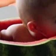 吃瓜爆料网揭秘：国产写真与特级毛片背后的故事